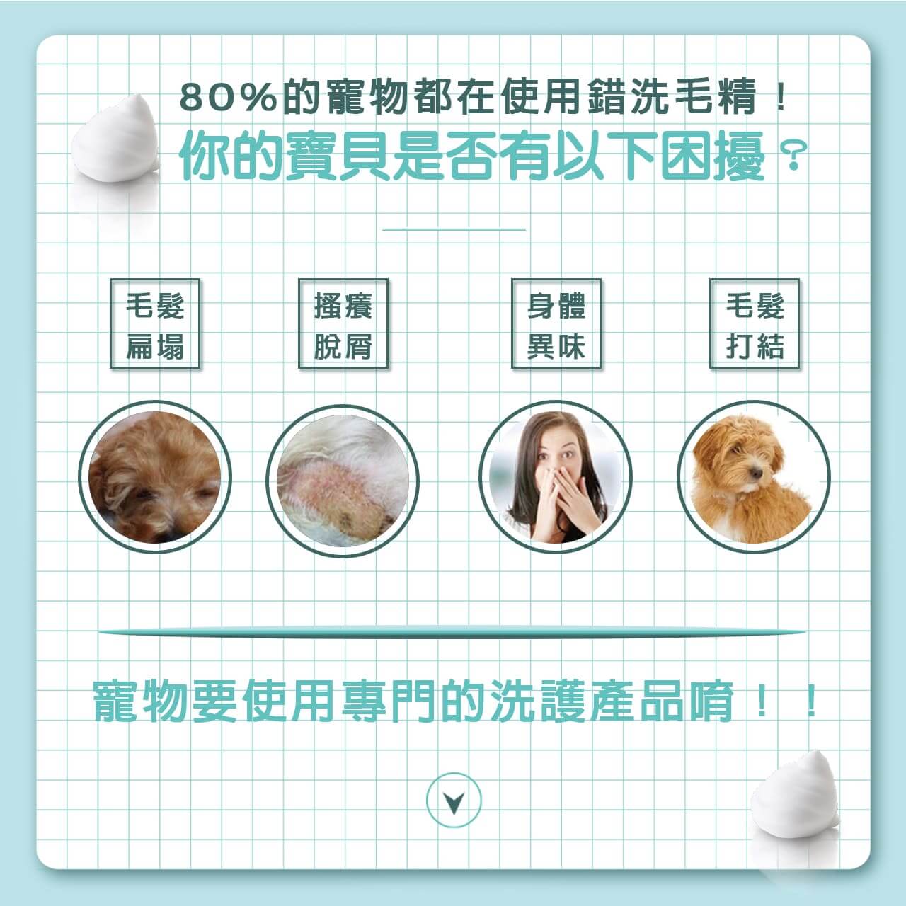 【犬用】寵物肌膚護理洗毛精-塑形蓬鬆洗毛精 (雪花香水泡泡香氛) 500ML-003