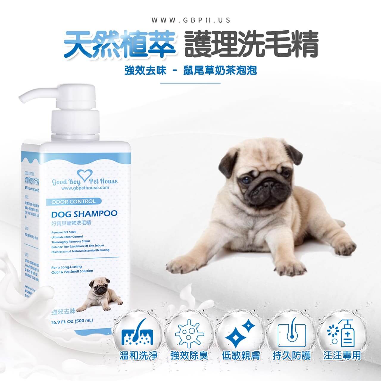 【犬用】寵物肌膚護理洗毛精-強效去味 (鼠尾草奶茶泡泡香氛) 500ML-001