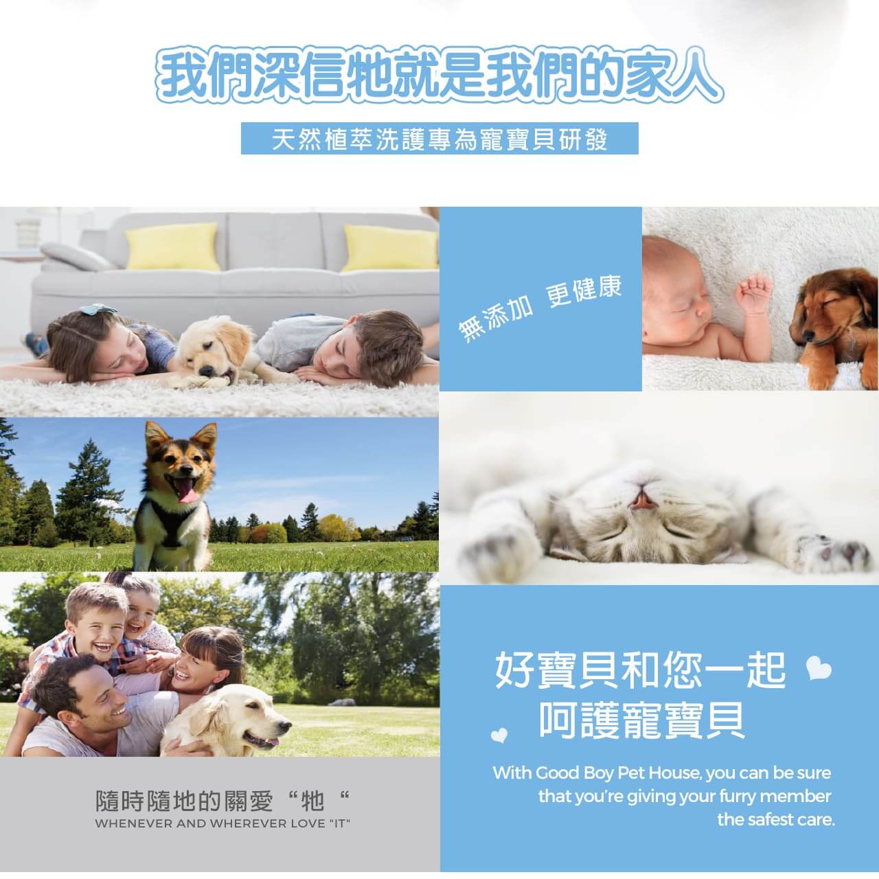 【犬用】寵物肌膚護理洗毛精-強效去味 (鼠尾草奶茶泡泡香氛) 500ML-011