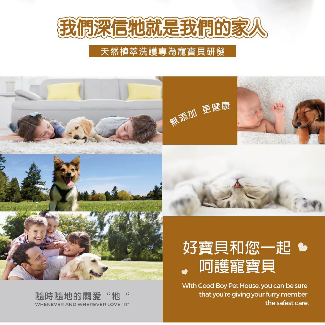 【犬用】寵物肌膚護理洗毛精-棕色亮澤洗毛精 (聖誕雪松棒棒糖泡泡香氛) 500ML-011