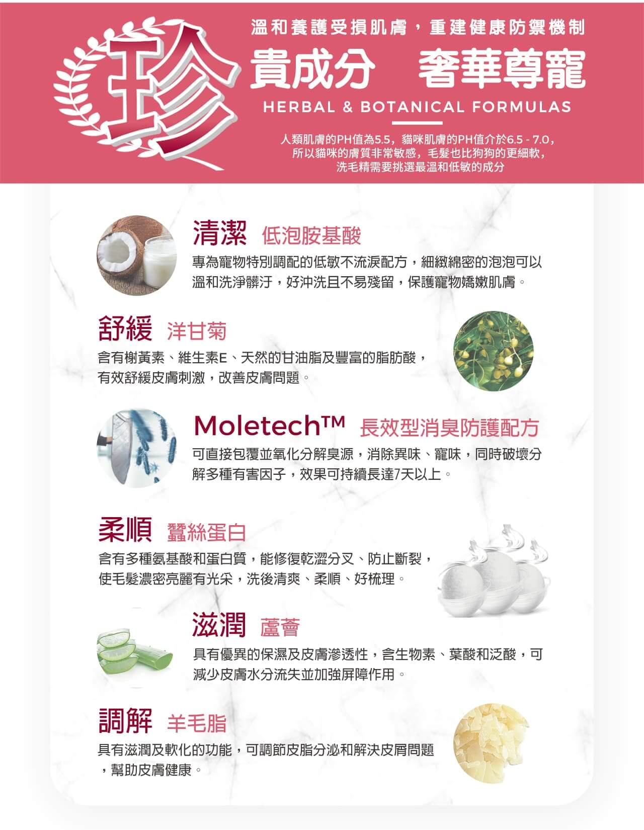 【犬貓通用】寵物肌膚護理洗毛精-問題肌修護洗毛精 (玫瑰莊園薄荷泡泡香氛) 500ML-005