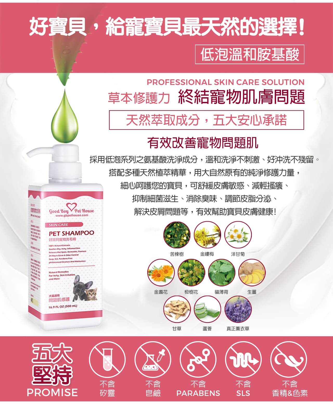 【犬貓通用】寵物肌膚護理洗毛精-問題肌修護洗毛精 (玫瑰莊園薄荷泡泡香氛) 500ML-007