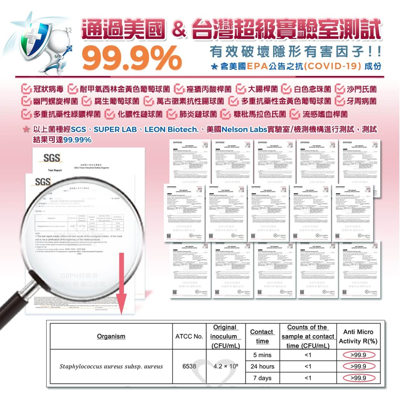 【犬貓通用】寵物肌膚護理洗毛精-問題肌修護洗毛精 (玫瑰莊園薄荷泡泡香氛) 500ML-008