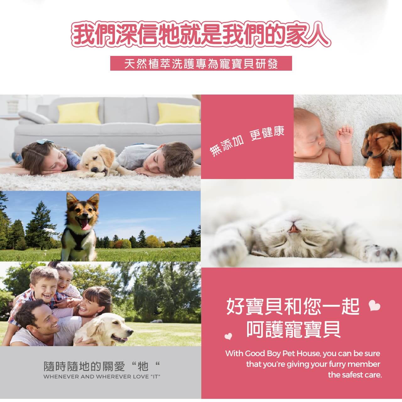 【犬貓通用】寵物肌膚護理洗毛精-問題肌修護洗毛精 (玫瑰莊園薄荷泡泡香氛) 500ML-012