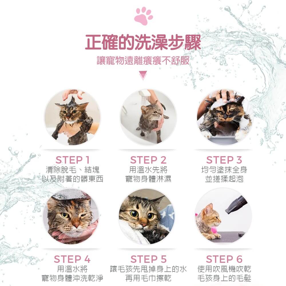 【貓用】寵物肌膚護理洗毛精-蟲蟲不愛洗毛精 (乳酸鬆餅泡泡香氛) 500ML-011