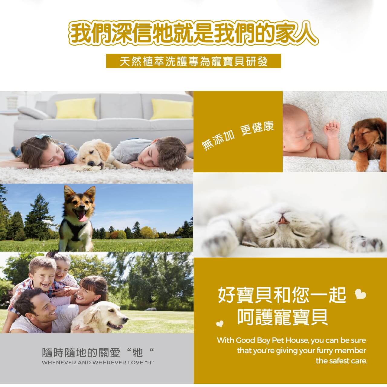 【犬用】寵物肌膚護理洗毛精-淨白去黃洗毛精 (法式牛奶糖泡泡香氛) 500ML-011