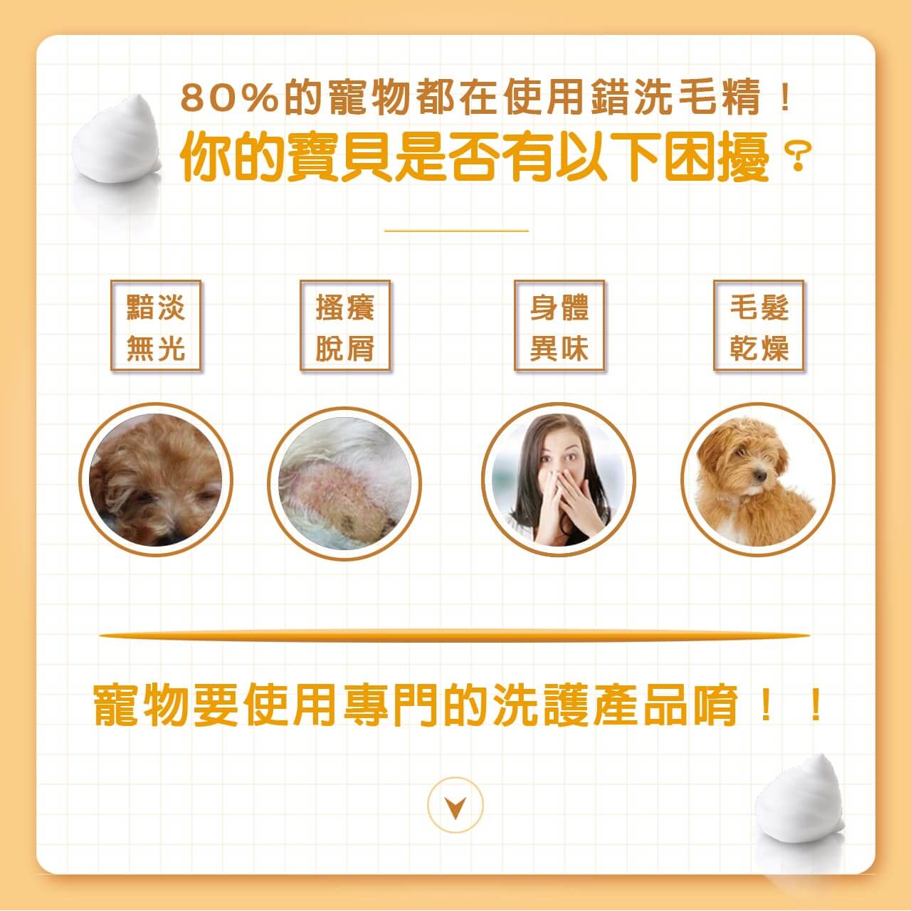 【犬用】寵物肌膚護理洗毛精-長毛柔順洗毛精 (英國紅茶蘋果泡泡香氛) 500ML-003