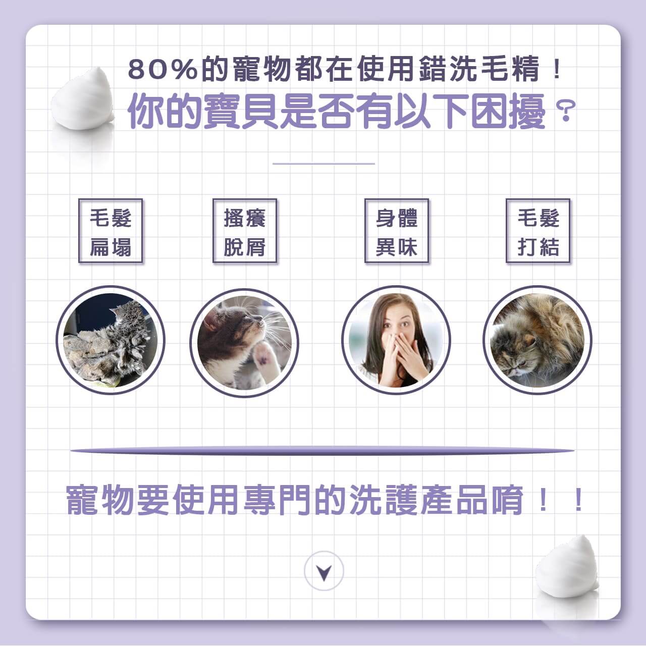 【貓用】寵物肌膚護理洗毛精–幼貓敏感洗毛精 (水蜜桃紅茶泡泡香氛) 500ML-003