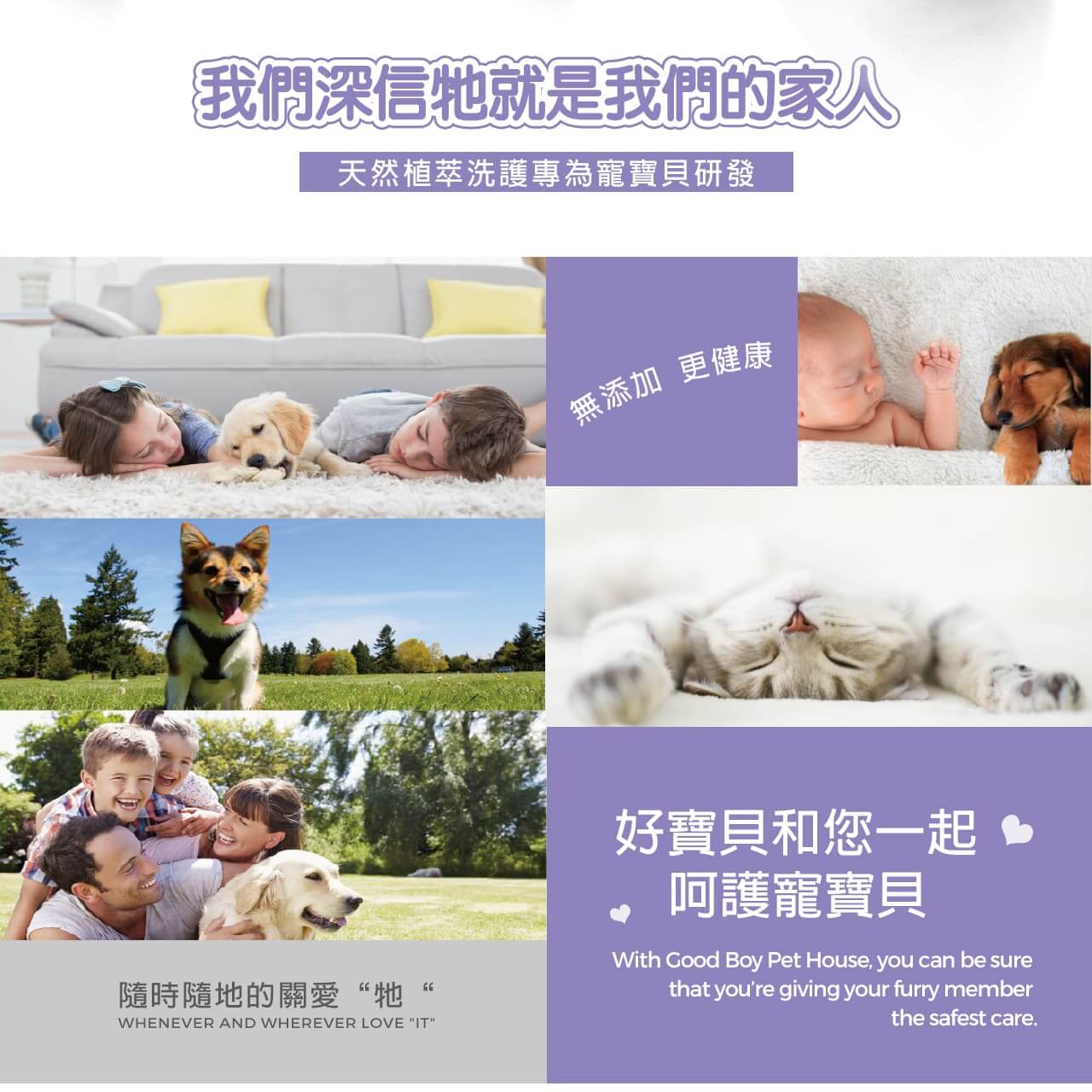 【貓用】寵物肌膚護理洗毛精–幼貓敏感洗毛精 (水蜜桃紅茶泡泡香氛) 500ML-011