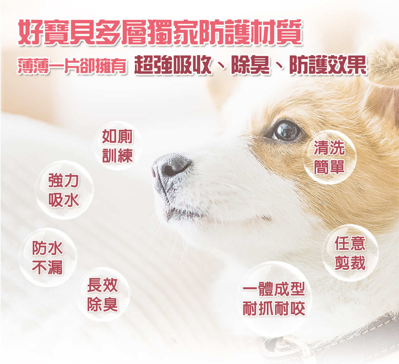 好寶貝寵物除臭尿墊★重複使用★年拋版S(粉紅)-008