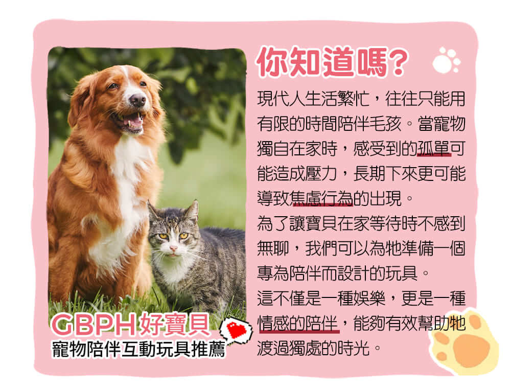 潔牙香芬發聲玩具 (薄荷巧克力)-003