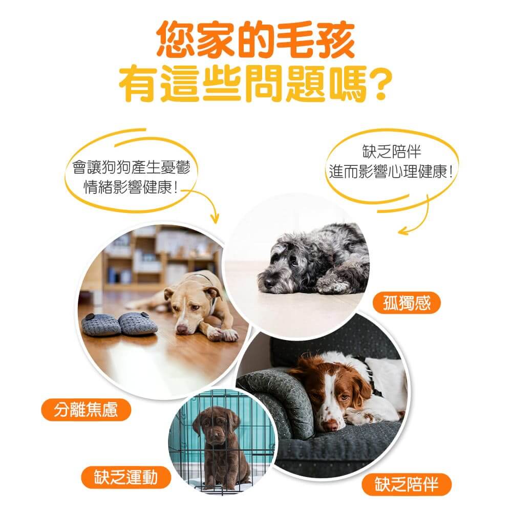 潔牙骨造型發聲玩具 – 粉紫色-004